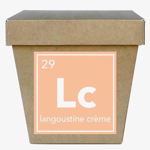 Langoustine crème saus